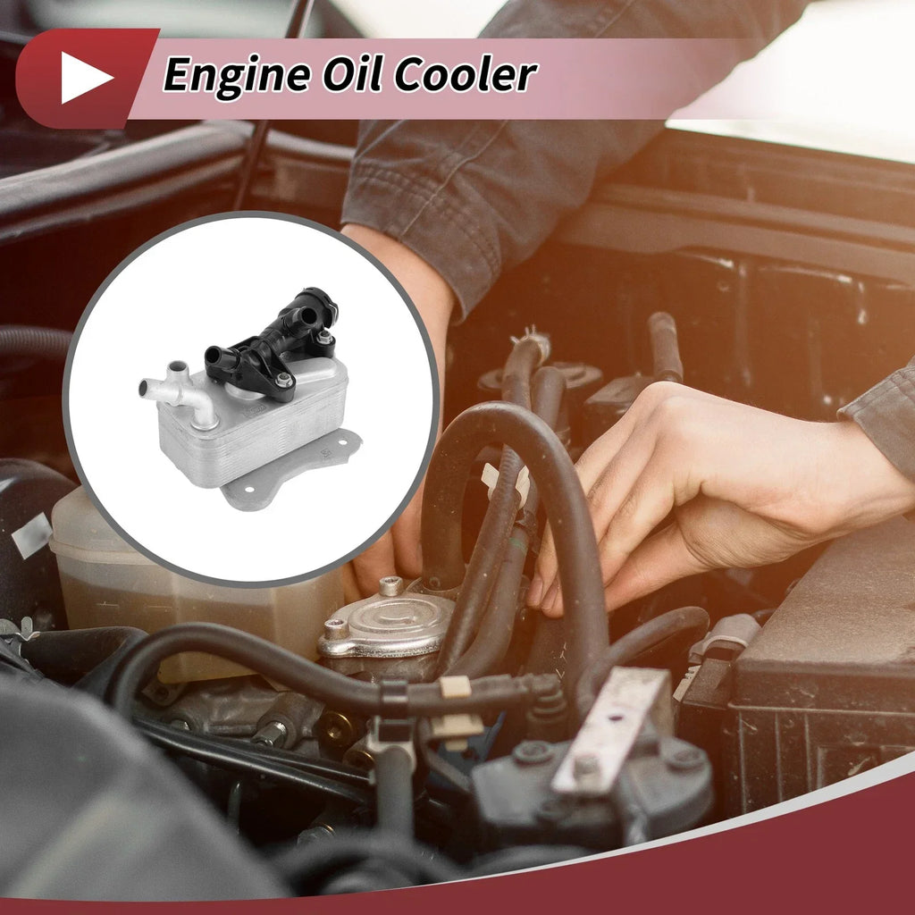 Engine Oil Cooler for BMW 3 Series Trans Cooler (2008-2013)