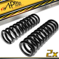 2X Rear Side Coil Springs for Mercedes-Benz E320 (1994–1998)