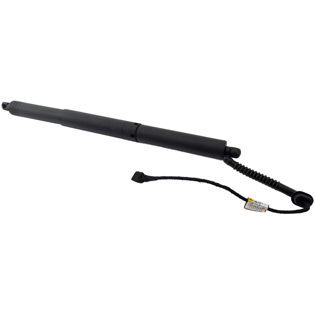 Liftgate Lift Supports for BMW X5 (2017–2018)