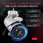 A/C Compressor with Clutch for Ford Fairlane (1962–1966)