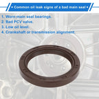 Front Crankshaft Oil Seal for Hyundai Elantra, Sonata (2011-2016)