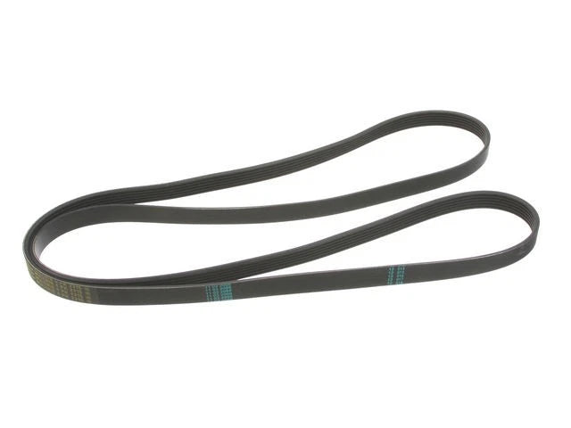 Primary Multi Rib Belt for Jaguar XK8 (2003–2006) SW558XG