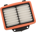 Replacement Air Filter for Victory (E14-0998)