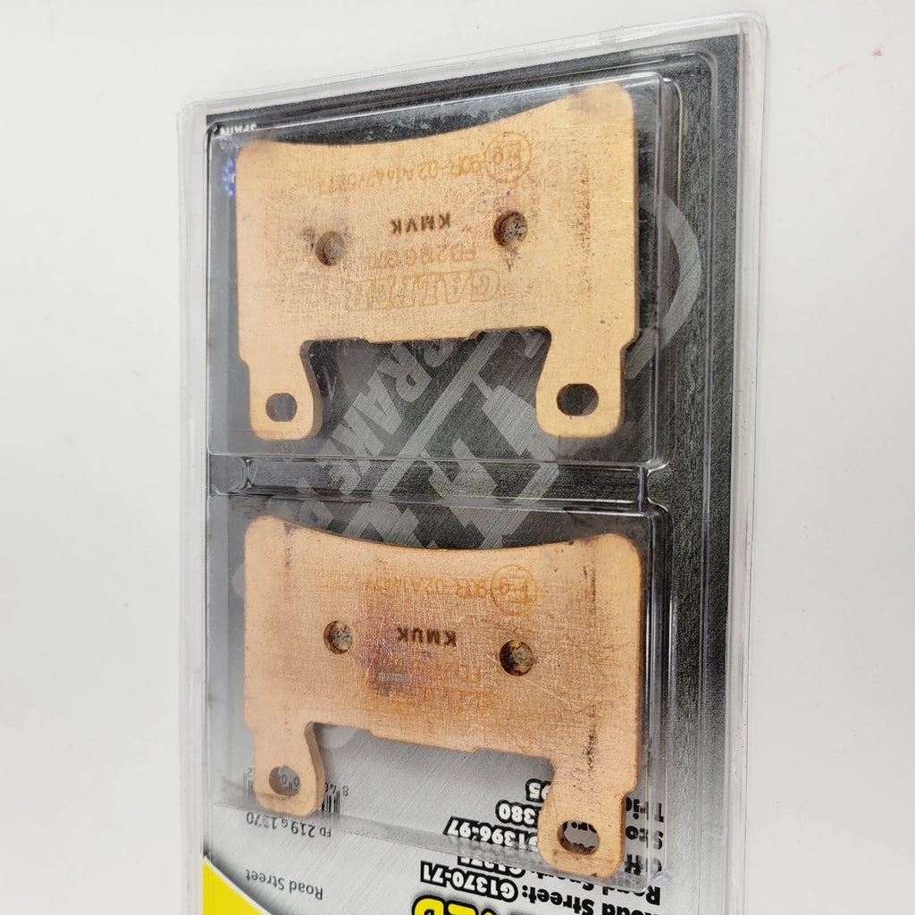 Galfer FD219G1370 Sintered Brake Pads for Harley FLS (2015–2019)