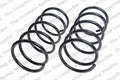 Front Coil Spring for Lesjofors (4144207)