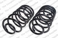 Rear Coil Spring Kit for Buick (4412130)