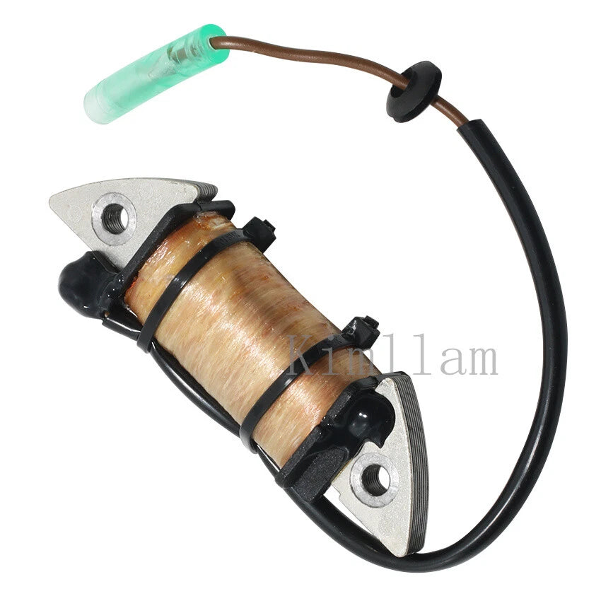 Charge Coil for Yamaha Outboard 2HP 6A1-85520-00 (1995–2006, 2010)