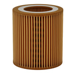 Engine Filter for BMW X3 X4 X5 X6 (2007–2019) 2.0L/3.0L