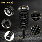 Set of 2 Rear Complete Struts for Nissan Maxima, Infiniti I30