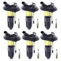 Set of 6 Ignition Coils & Platinum Spark Plugs for Bravada Trailblazer (2002–2008)