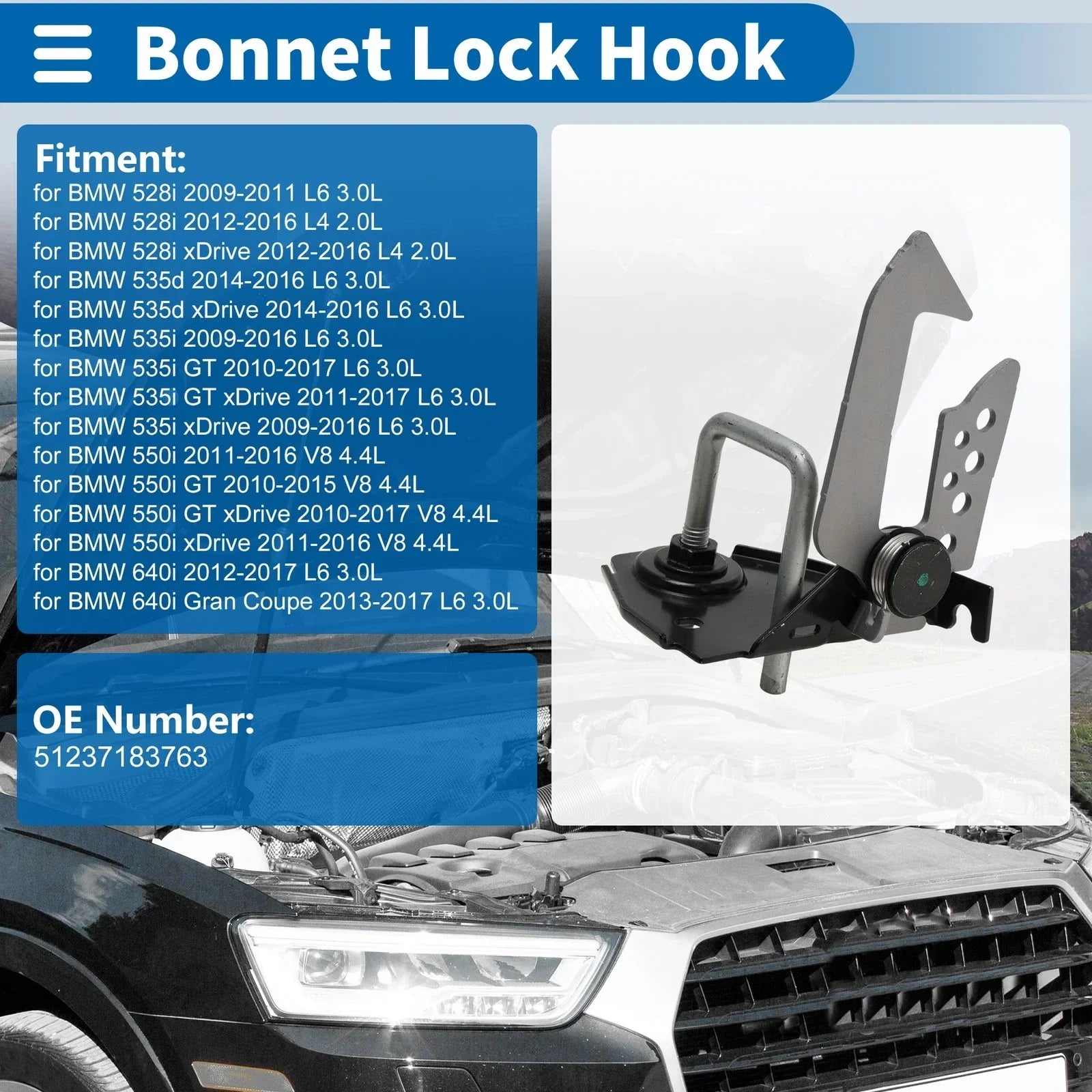 Hood Latch Assembly for BMW 528i (2009 - 2011)