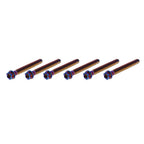 6pcs M8x45mm Titanium Torx Head Flange Screws for Motorcycle