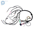 Stand Alone Wiring Harness for LS Truck (1999–2006) with T56 DBC