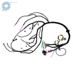 Stand Alone Wiring Harness for LS Truck (1999–2006) with T56 DBC