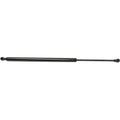 Lift Support for BMW X5 E53 (2000–2006) Trunk Lid