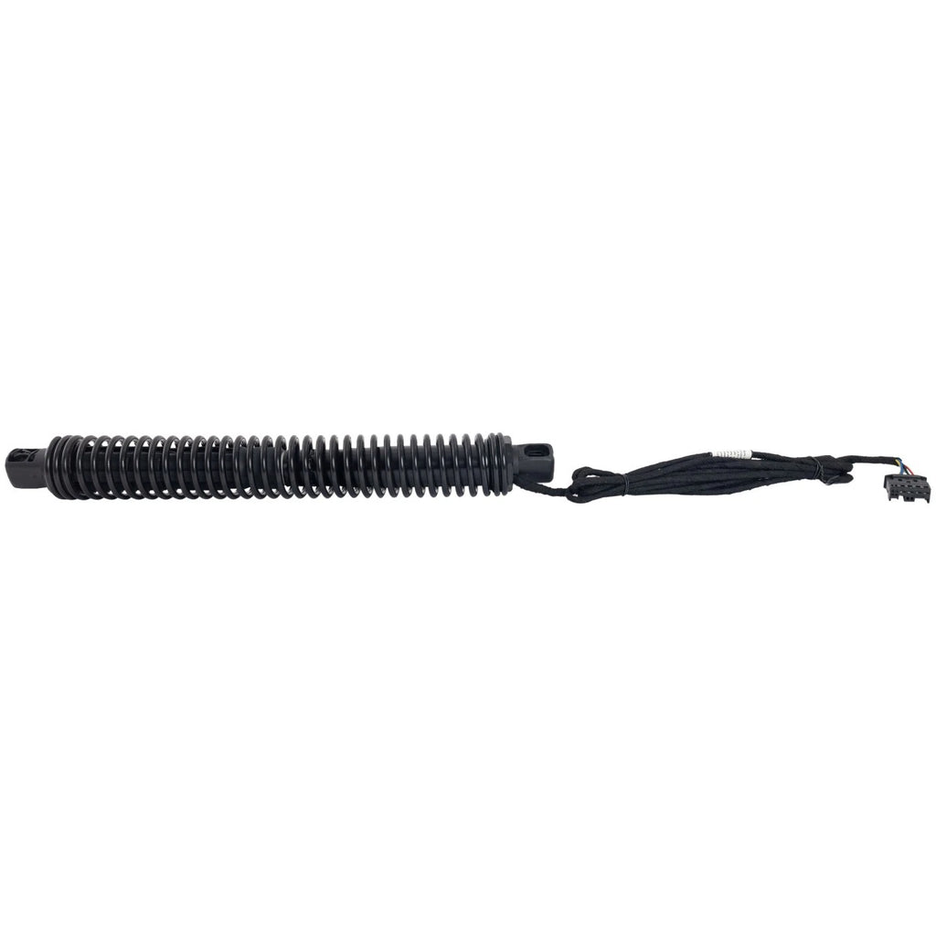 Trunk Lid Lift Supports for BMW 740 760 750 (Sedan)