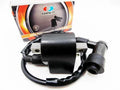 CDI Unit & Ignition Coil Spark Plug Cap Assembly for Suzuki JR50 (1985-2006)