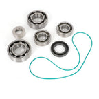 Bearing O-Ring Rebuild Kit for V2 V3 Ti Si V4 XX V7 YSi Novi 2200 Supercharger