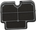 HIFLOFILTRO Air Filter for Kawasaki (HFA2607)