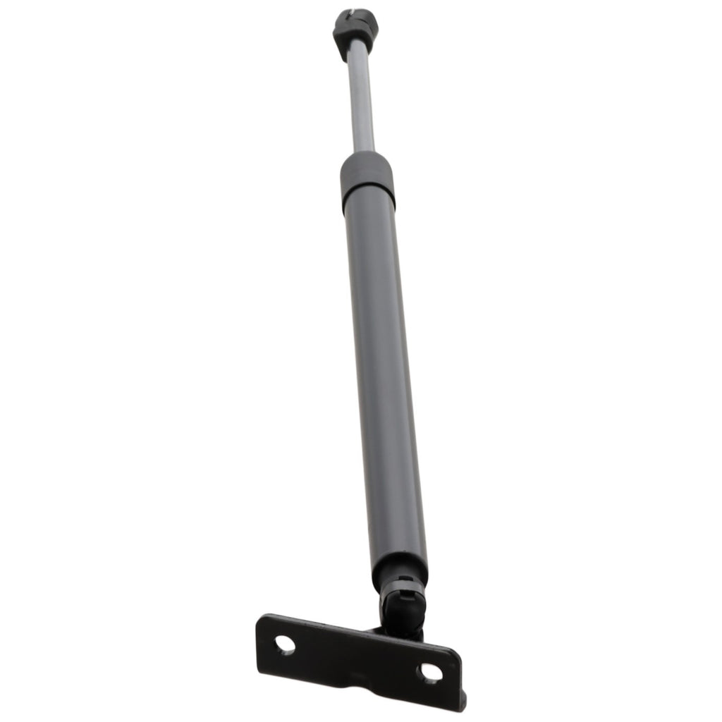 Liftgate Lift Supports for Hyundai Santa Fe