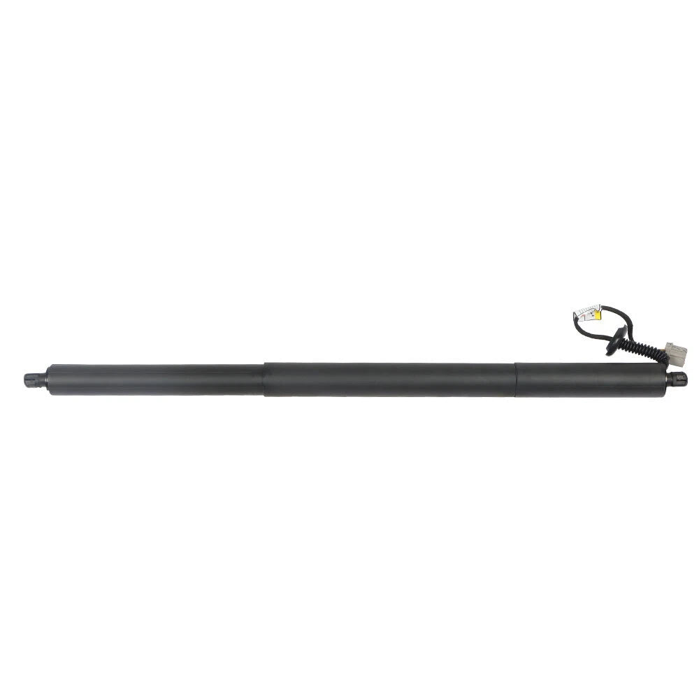 2X Rear Tailgate Lift Support Strut for Ford Escape (2013–2019)