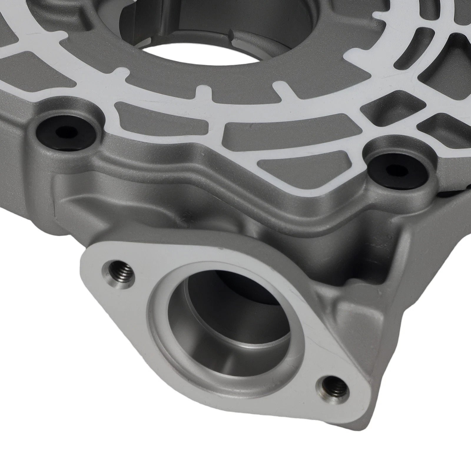 Engine Oil Pump for Ford F-150 Mustang (BR3Z6600A) (2011–2014)