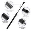 Tailgate Lift Support Struts Gas Spring for BMW X5 SUV (2007-2013)