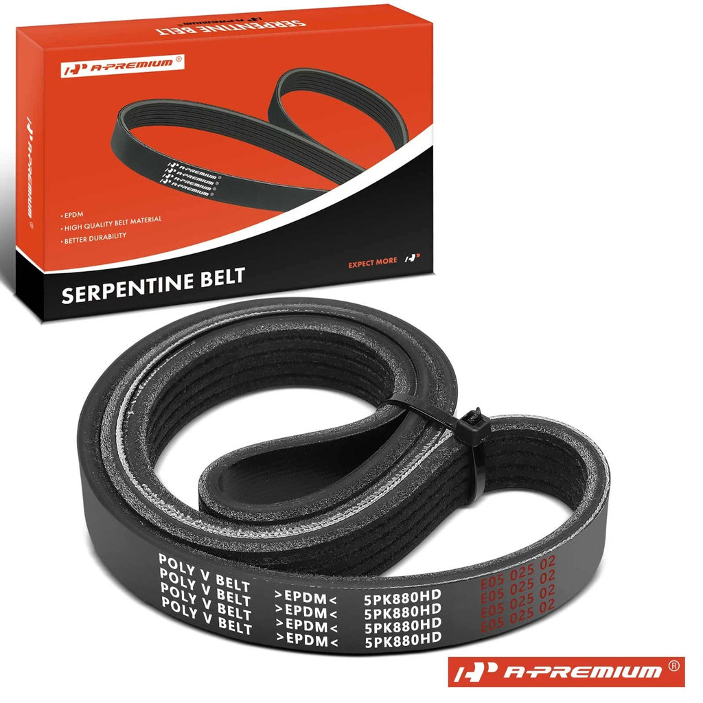 Serpentine Belt for Ford L9000, LA9000, LN9000