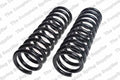 Front Coil Spring for Lesjofors (4114218)