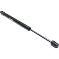 Lift Support for Chrysler Sebring (2001–2005) Trunk Lid