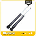 Rear Premium Strut & Gas Shocks for Pontiac G3, Suzuki Swift, Chevrolet Aveo