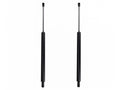 Liftgate Lift Support Set of 2 for Mazda Navajo (1991–1994) PM575BC