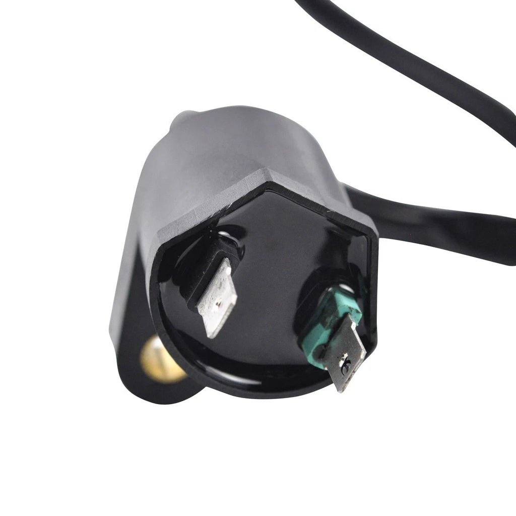 RM Stator External Ignition Coil with Spark Plug Cap for Offroad Vehicles