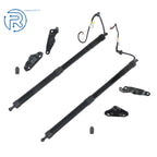 2X Rear Tailgate Lift Support Strut for Toyota Highlander (2014-2019)