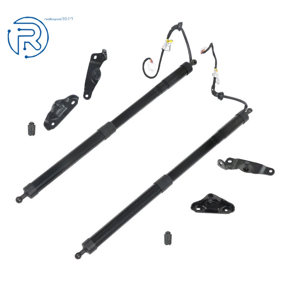 2X Rear Tailgate Lift Support Strut for Toyota Highlander (2014-2019)