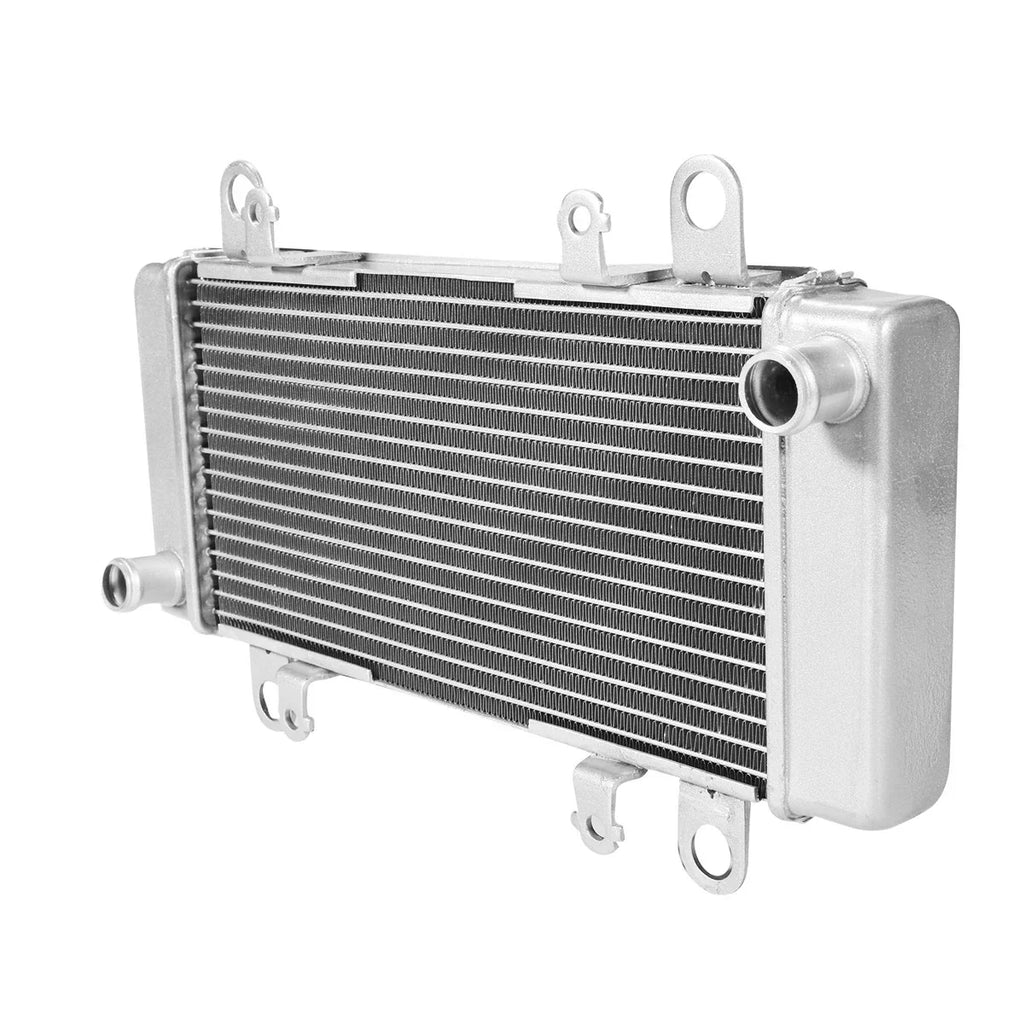 Radiator Cooler for KAWASAKI NINJA 300 EX300 (2013-2017)