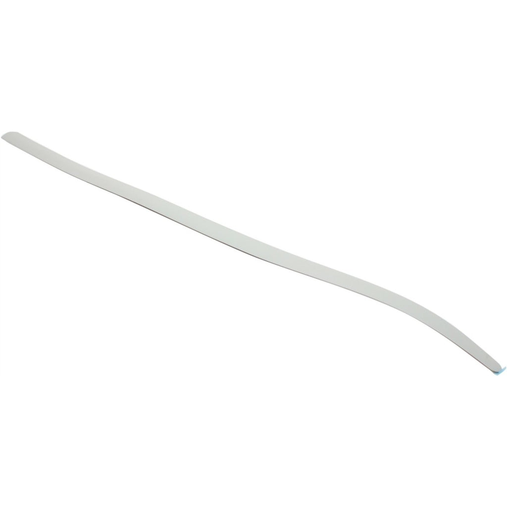 Door Molding for Dodge Grand Caravan (2002–2004) Front Driver Side