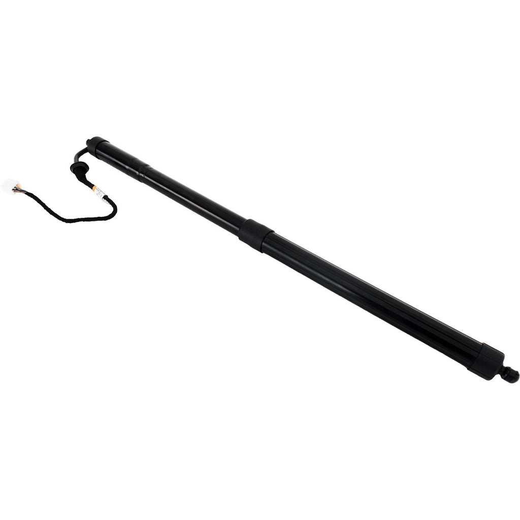 Liftgate Lift Supports for Lexus RX350 (2016–2019)