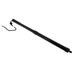 Liftgate Lift Supports for Lexus RX350 (2016–2019)