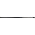Liftgate Lift Supports for Driver & Passenger Side