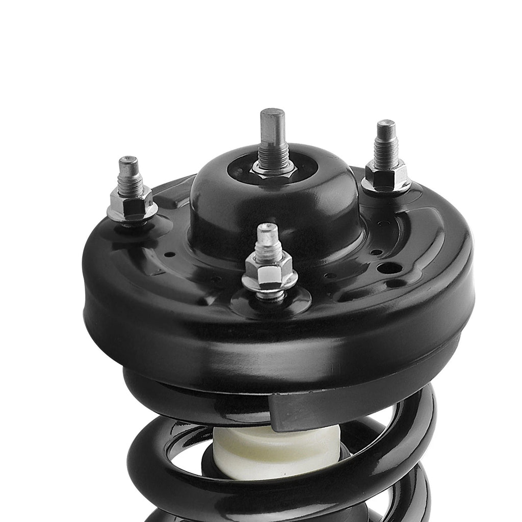 Front Quick Complete Strut-Coil Spring for Ford F-150 (2009–2013) 171141