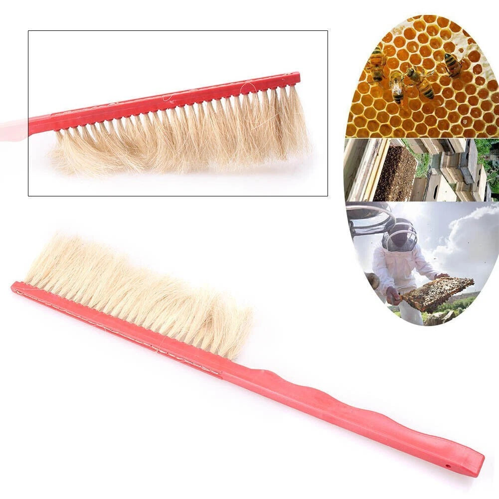 Bee Brush Tool for Beekeeping Beehive (420mm x 80mm x 10mm) Red