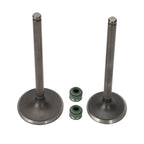 Intake Exhaust Valve & Seals for Honda TRX 300FW FourTrax (1988–2000)