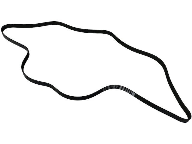 Accessory Drive Multi Rib Belt for Jaguar XFR (2010–2015) NT247GR