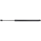 Liftgate Lift Supports for Nissan Rogue (2021–2023)