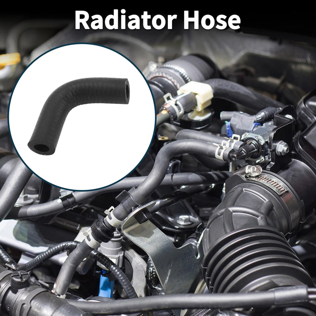 Radiator Hose for Buick Century (2003–2005) OE 24504912