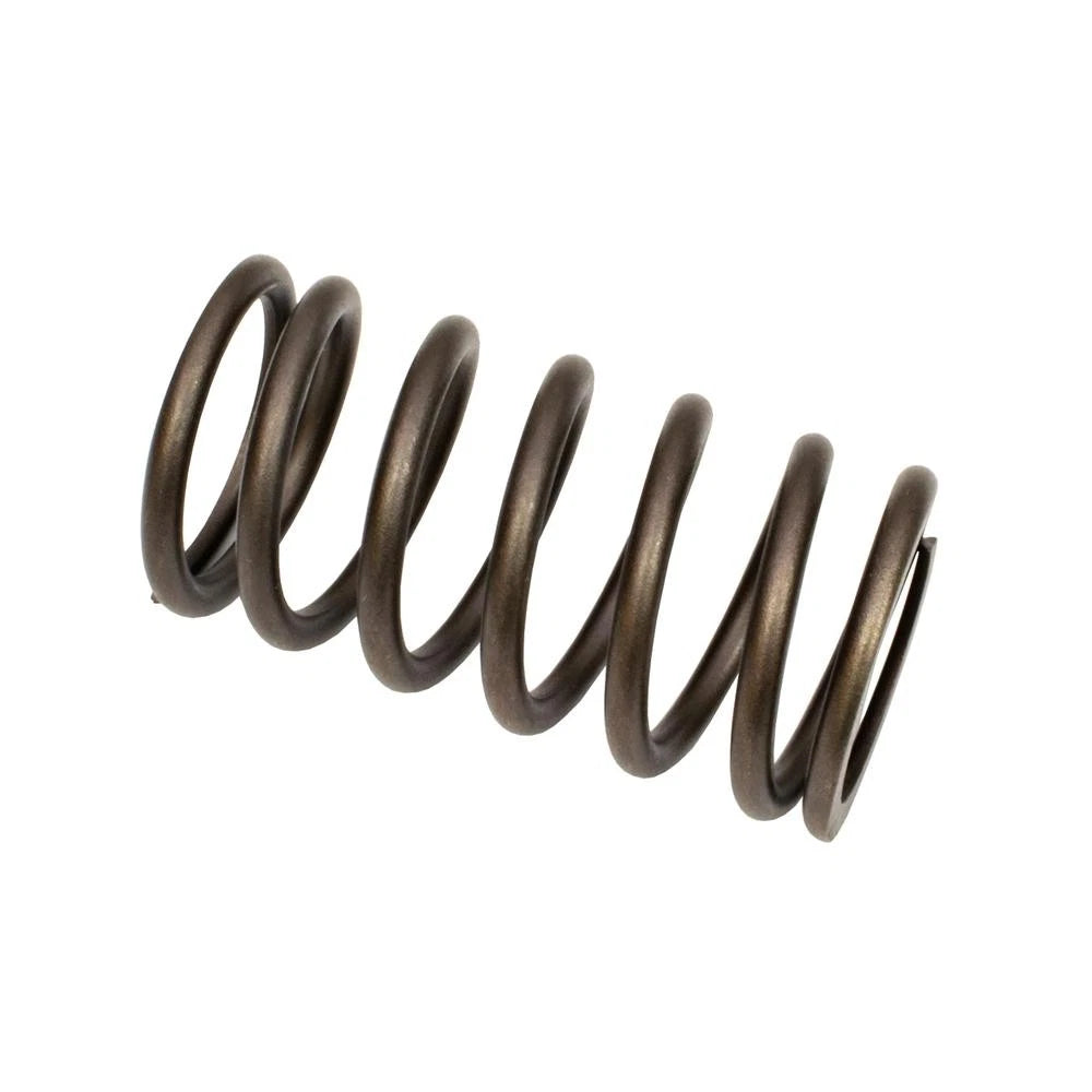 Valve Spring for Allis-Chalmers (Fits R-70233850)