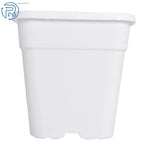 Set of 10 Square White Nursery Pots for Plant Growing