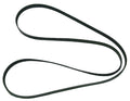 Belt for WSM