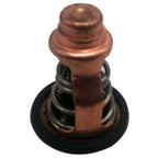 Thermostat for Yamaha F80B F100D Outboard Motor (6D9-12411-00)